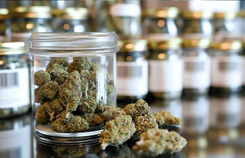 Premium Cannabis Flower at Fridley Dispensary