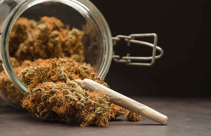 Cannabis Safety