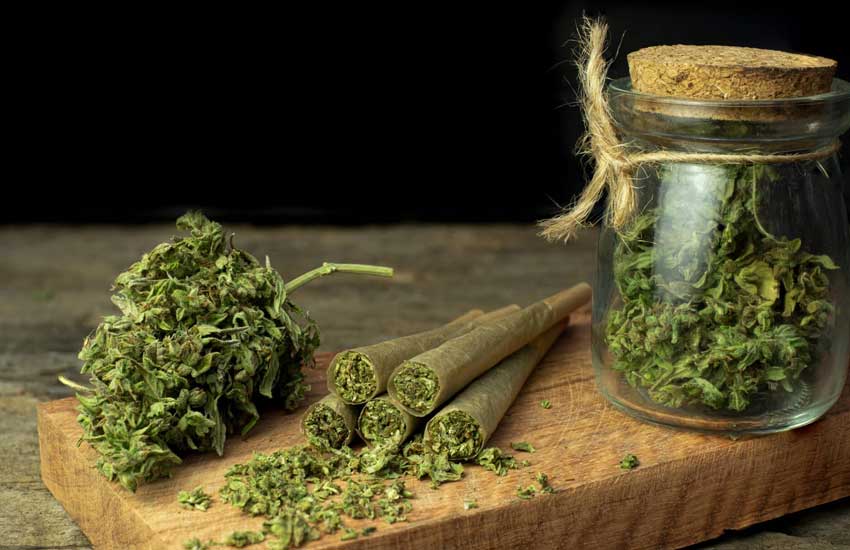 Quality-controlled pre-rolls at Fridley Dispensary, Minnesota